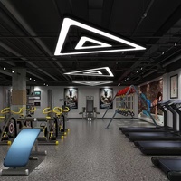 Éclairage décoratif Liner Lights Suspension Triangles Suspension Lumière Connectable LED Plafonnier Suspendu pour Salle de Jeu Gym