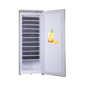 Chất lượng cao DC 24v1 Lớp năng lượng mặt trời Powered Ice Maker thẳng đứng OEM/ODM 24 giờ khối băng sản xuất pin năng lượng mặt trời