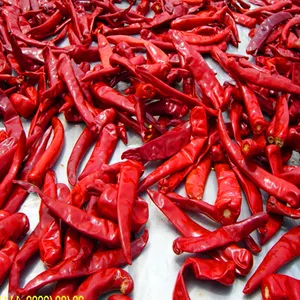 factory spice supplier wholesale dried red chili pepper/dried chilies dry red chilli pepper