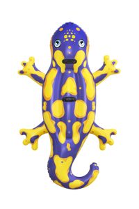 Bestway 41502 Splashin' Salamander, flotteur de piscine gonflable pour enfants à deux places, PVC, 1,91 m x 1,19 m, pour l'extérieur, capacité de 60 kg - Product Image 3