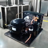 Unité de condensation 2HP/3HP/5HP pour chambre froide, compresseur Copeland, moteur, réfrigération neuve conditionnée pour restaurant