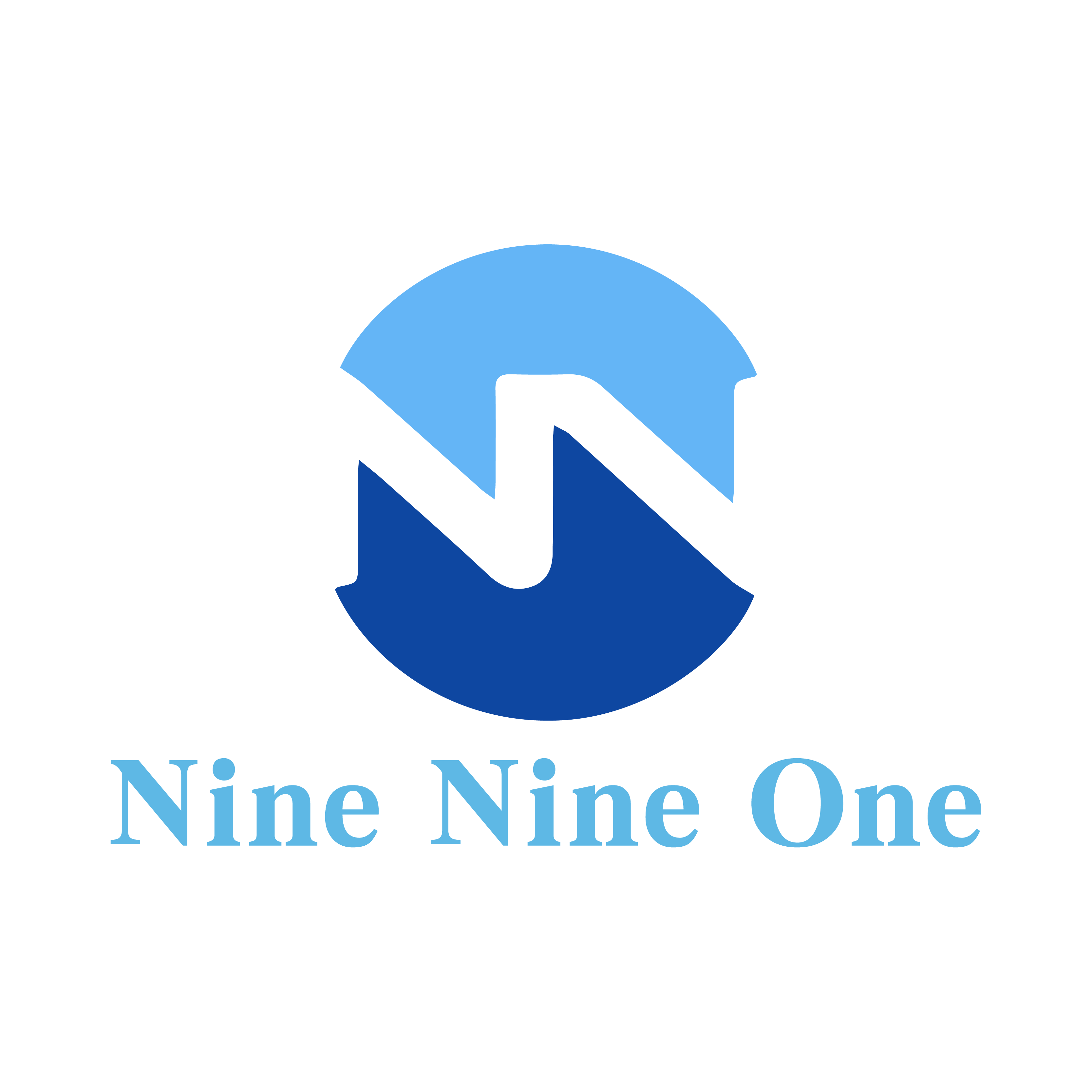 Qingdao Nine Nine One Industrial Co., Ltd. logo