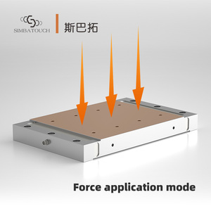 Sensor Plano <span class=keywords><strong>Anticorrosivo</strong></span> de Gran Resistencia para Planta Química, Soporte para Equipo Pesado y Registro Prolongado de Carga Elevada - Product Image 2