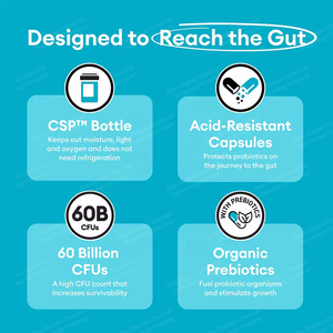 Cápsulas de Probióticos <span class=keywords><strong>OEM</strong></span> 60 Mil Millones de UFC Prebióticos Mejoran la Inmunidad Salud Digestiva Intestinal Suplemento para Adultos para Mujeres y Hombres - Product Image 5