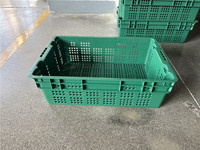 Caisses de récolte en plastique PP à mailles ventilées, empilables, pour l'agriculture, le stockage des fruits et des aliments