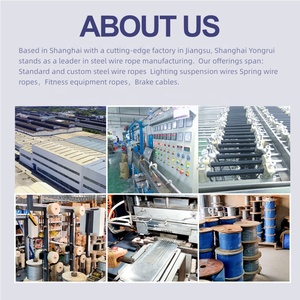 Premium dayanıklı alaşım çekilmiş çelik tel sınıf 304 paslanmaz/balıkçılık için galvanizli kanca tel halat sapan terminalleri ASI kesme - Product Image 6