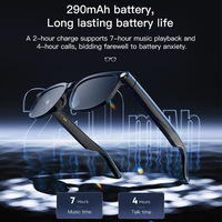 Lunettes Intelligentes de Traduction IA avec Caméra HD 8MP, Photo/Vidéo, Musique, Appels, Assistant Vocal, Enregistrement de Réunions via APP, Écouteurs Sans Fil 290mAh