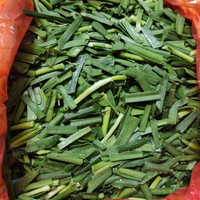 Exportateur de poireaux chinois surgelés, spécifications CUT, certifié HACCP/BRC/ISO/Kosher, emballage en vrac