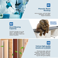 Muebles de Laboratorio Duraderos CARTMAY, Mesas Escolares Modulares Resistentes a Químicos, Bancos de Laboratorio para Hospitales con Estantes y Armarios