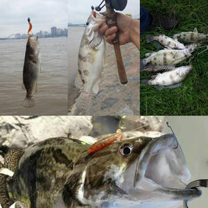 Barato suave gusano pequeño realista trucha señuelo cebos blandos venta al por mayor Topline Tackle Tpr Minnow t-tail Mini <span class=keywords><strong>Zman</strong></span> señuelo suave pesca - Product Image 6