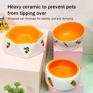 Kediler köpekler tavşanlar için özelleştirilebilir küçük boy seramik evcil hayvan kasesi dayanıklı kolay temizlenebilir besleyici - Product Image 5