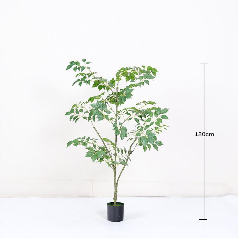 120cm