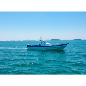 Grandsea -950 Nouveau <span class=keywords><strong>bateau</strong></span> de pêche en fibre de verre blanc de 9,5 m à essence/pétrole avec 1 an de garantie - Product Image 4