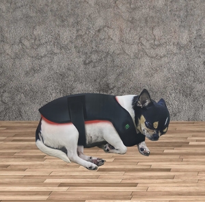 2025 Tốt Nhất Người Bán Y Tế LED Ánh Sáng Màu Đỏ Vành Đai Liệu Pháp 660nm 850nm Hồng Ngoại <span class=keywords><strong>Pdt</strong></span> Cho Con Chó Ngựa Ứng Dụng Cơ Thể Vẻ Đẹp Chăm Sóc Cá Nhân - Product Image 1