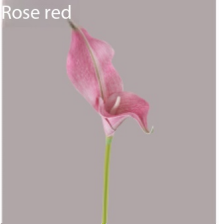 rose rouge