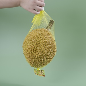 Factory Supply Citroen Biologisch Afbreekbaar <span class=keywords><strong>Mesh</strong></span> Plastic Netto Zakken Voor Fruit - Product Image 5