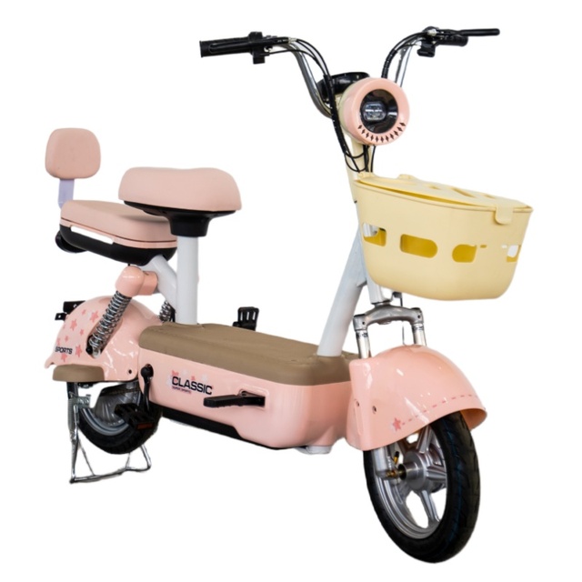 Model Yuan Universe------Hot Sale Electric Bicycle Popular Electric Bicycle Cheap Price Electric Bike with Good Quality