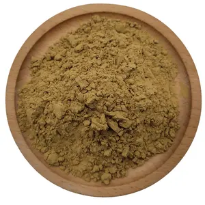 Highest selling white birch leaf extract birch bark extract