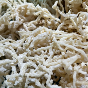 Moss de mar dorado salado secado al sol disponible a granel de Vietnam Mejor precio Alta calidad por 99 Gold Data - Product Image 1