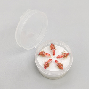 Amaker - Señuelos de Pesca con Mosca, 5 Unidades por Caja, Color Carne, Señuelos Biónicos para Trucha, Cebo Artificial Suave para Lubina, Perca, Salmón, Pesca en Agua Dulce - Product Image 6