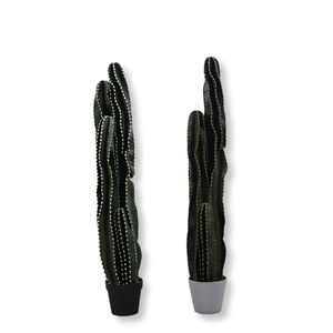 Nórdico 1,9 m PU hierba Artificial Cactus bonsái escena <span class=keywords><strong>del</strong></span> <span class=keywords><strong>desierto</strong></span> Tropical decoración <span class=keywords><strong>de</strong></span> plantas duradero respetuoso con el medio ambiente Pilar inmortal - Product Image 3