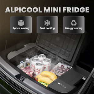 TSL35 Alpicool DC Compresseur Réfrigérateur 12v 24v Voiture Réfrigérateur Congélateur 35l Voiture Mini Réfrigérateur Portable Refroidisseur Électrique pour Voiture <span class=keywords><strong>tesla</strong></span> - Product Image 5