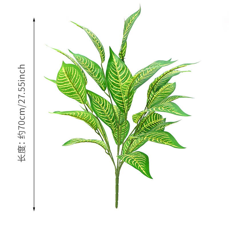 ใบเซบร้าสีเหลือง