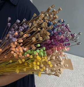 Vente en gros de coquilles de pavot séchées et préservées, mini-têtes de graines pour bouquets de mariage, arrangements floraux, Fête des Mères - Product Image 6