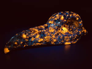 Crâne de corbeau en Yooperlite naturelle sculpté, pierre de guérison, décoration d'intérieur, artisanat Reiki, ornement d'Halloween, vente en gros - Product Image 1