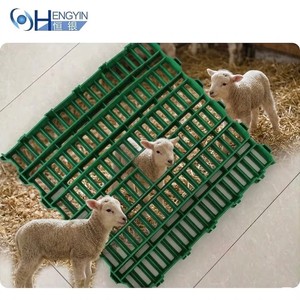 Plancher à lattes robuste en plastique pour abri de chèvres et de moutons, équipement d'élevage caprin et ovcin économique - Product Image 1