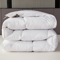 Couette légère et fraîche en fibres de soie de soja compressée pour l'été, épaisse pour l'hiver, pour étudiant, simple, avec garnissage