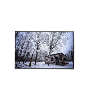 Écran LCD TFT 1280*800 à réponse rapide M154EW01 V0 15,4 pouces 262K - Product Image 1