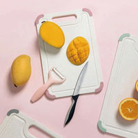 Planche à découper de cuisine en gros, planche à découper en plastique personnalisée avec coussin en silicone
