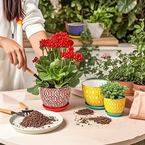 Pot de <span class=keywords><strong>fleur</strong></span> rond en céramique dessiné à la main nordique plateau de jardinière succulente en porcelaine émaillée de couleur personnalisable <span class=keywords><strong>pour</strong></span> une utilisation dans le jardin - Product Image 2