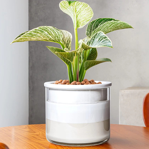 Maceta de <span class=keywords><strong>autorriego</strong></span> de cerámica grande Premium moderna para el hogar, jardín, vivero al aire libre, bonsái, maceta decorativa para plantar flores - Product Image 1