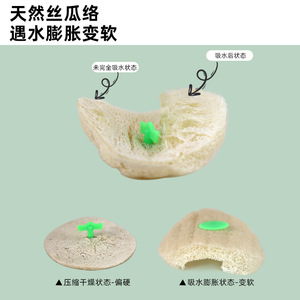 Loofah <b>Sponge</b> Pot Scrubber Green <b>Handle</b> Round Biodegradable Kitchen Cleaning Brush for Pots Pans Bowls - Product Image 3