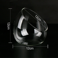 Vase en verre borosilicate à bouche oblique décoratif moderne pour plantes succulentes