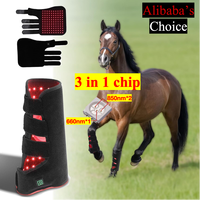Enveloppe de thérapie par lumière rouge pour le soin des chevaux avec infrarouge proche 660nm et 850nm, batterie intégrée pour le soulagement de la douleur équine
