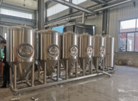 Équipement de fermenteur conique personnalisé diverses capacités en acier inoxydable 50L-8000L pour le brassage et la fermentation de la bière