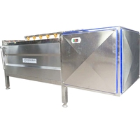 Fabrieksuitverkoop: Automatische aardappelwas- en schilmachine op maat