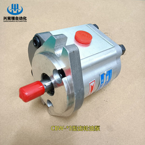 Bomba de aceite para engranajes Cbw F316 Alp, instalación de brida de 1 etapa, eje vertical, accionamiento eléctrico - Product Image 1