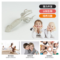 Zhiqu Jouets Usine En Gros Unisexe En Plastique Ancien Animal Marin Modèle Ensemble Nautilus Calmar Ornements pour Enfants