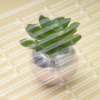 Plateau en plastique thermoformé en gros, emballage imbriqué, boîte d'emballage alimentaire en PET de qualité alimentaire pour le stockage des aliments