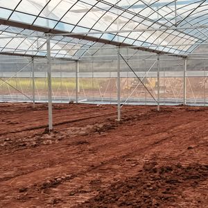 2025 Invernadero usado comercial barato usado Multi Span para cultivar rosas a la venta - Product Image 6