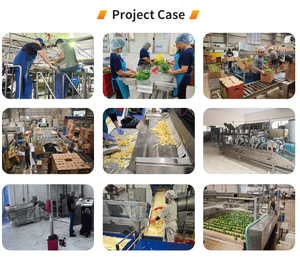 Автоматическая машина для непрерывной фритюрницы - Product Image 5