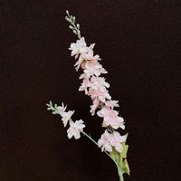 Fleurs artificielles réalistes en soie à double tige, type Delphinium, pour arrangements de mariage et présentoirs modernes en extérieur (vente en gros, prêtes à expédier)