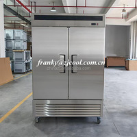 Congélateur commercial à deux grandes portes pleines, réfrigérateur vertical professionnel, congélateur à double porte pleine avec compartiment inférieur (DOE)