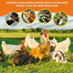 Red de alambre galvanizado de 1 pulgada, 150 pies, 24 pulgadas de alto para pollo, material de alambre de hierro galvanizado resistente a la corrosión - Product Image 4