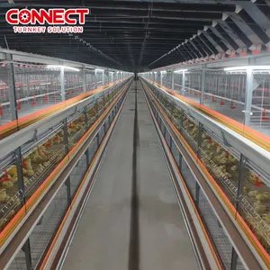 Durable Multi Tiers H Type Poultry Farming Equipment Automatic Control System Brooder Chicken Broiler Cage for Growing Chicks