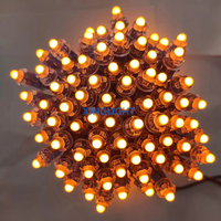 XINGLIGHT Modules LED Extérieurs 12V 50 LED 9mm Étanche Haute Luminosité Blanc Froid 6500K Guirlande Lumineuse LED Indice de Protection IP67